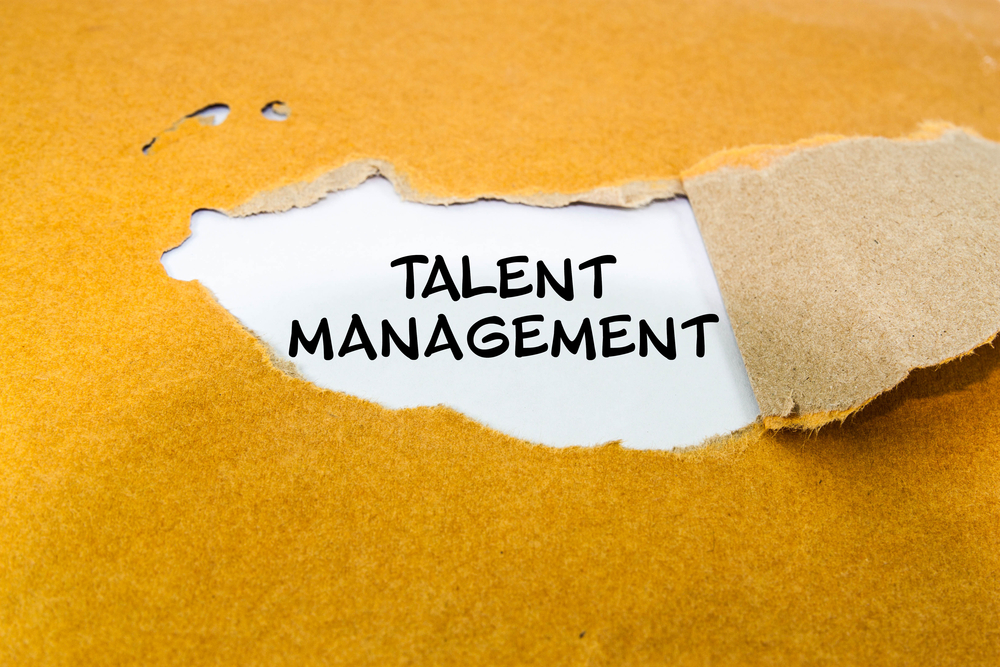 How Talent Management Can Help You Soar to Success!